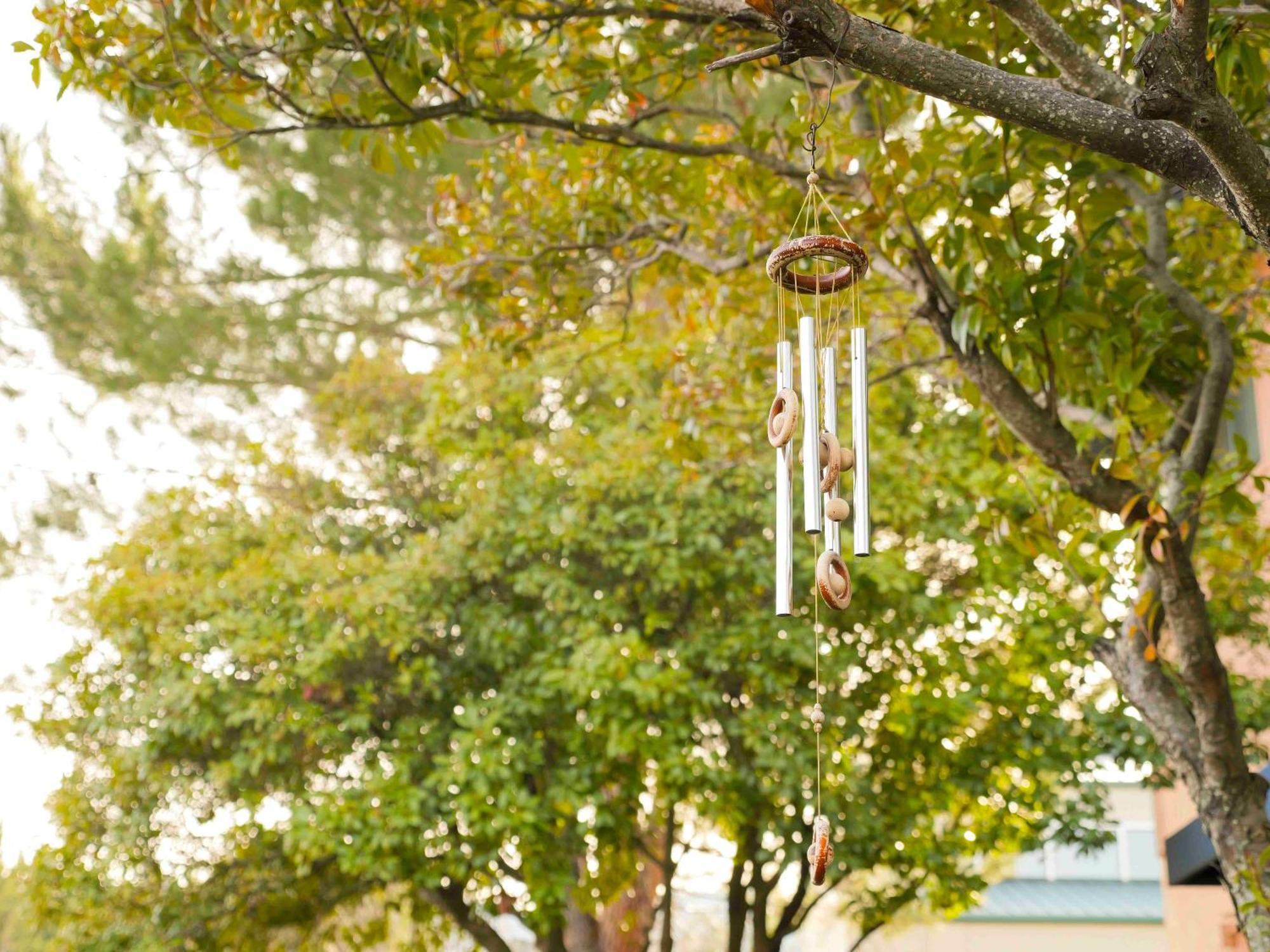 Ashland Commons Hostel エクステリア 写真